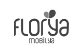 Mersin Florya Mobilya Asansörlü Taşıma Hizmeti